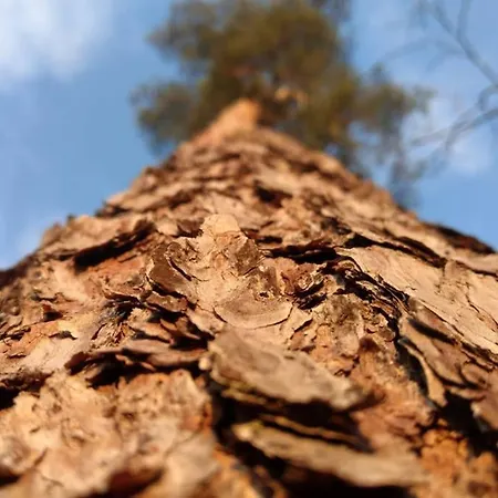 Apartment Ferienapartment Am Mit Kajak Sup Verleih *