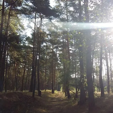 Ferienapartment Am Mit Kajak Sup Verleih Апартаменты