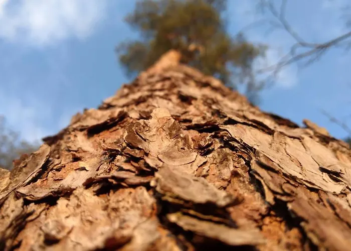 Apartmán Ferienapartment Am Mit Kajak Sup Verleih *